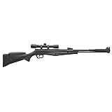 Stoeger S6000-E Combo - .22 Caliber - Black Synthetic with Fiber-Optic Sights & 4 x 32 Scope
