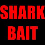 Shark Bait