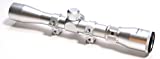 Hammers Stainless Silver Rifle Scope 3-9x32 for 10/22 597SS Model 60 795 22 Auto with Matching 3/8 Dovetail Scope Rings