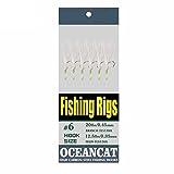10 Packs Rainbow Fish Skin 6 Hooks Saltwater String Hook Fishing Lure Bait Rig Tackle (1/0#, 10 Packs)