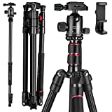MACTREM 80' Camera Tripod, DSLR Tripod Heavy Duty for Travel, Lightweight Aluminum 360 Degree Ball Head Professional Tripod, Monopod with Carry Bag, Phone Mount, 18.5' to 80', 33lb Load(80 Inch)