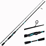 Akataka Bass Fishing Rod, 2 pcs Collaspible baitcasting or Spinning Fishing Rod with X-Enhanced Rod Technology, IM6 Multi Taper Black Design, Corrosion Resistant Guides, High Density EVA Grips.