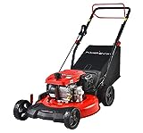 PowerSmart Self Propelled Lawn Mower Gas Powered, 21 Inch Gas Lawn Mower with 209CC 4-Stroke Engine, 3 in 1 Gas Lawnmower with 5 Adjustable Cutting Heights 1.18''-3.0'', DB2194SH