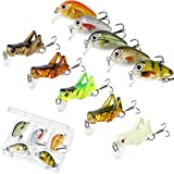 10 Pieces Mini Fishing Lures Fishing Hard Baits Hooks Crankbaits Fishing Lures Baits Topwater Lures for Freshwater Saltwater Trout Bass Perch Fishing Lures with Box (Locust and Fish Series)