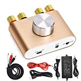 Facmogu F900 Mini Bluetooth Power Amplifier Wireless Audio Receiver with 12V 5A DC Adapter, 2.0 Channel 50WX2 Stereo Hi-Fi Digital Amp with AUX/USB/Bluetooth Input (Gold)