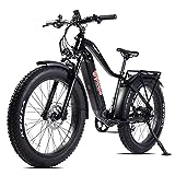 Electric Bike Adults Young Electric 750W Motor Ebike 48V 15Ah Removable LG Cells Battery 26'' Fat Big Tire 28mph Shimano 7-Speed Bicycle Snow Beach Mountain Off Road Commuter