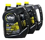 Sea-Doo PWC XPS 2-Stroke Synthetic Oil - Case of 3 Gallons 293600133