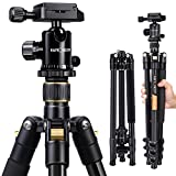 K&F Concept 64''/162cm DSLR Tripod,Lightweight and Compact Aluminum Camera Tripod with 360 Panorama Ball Head Quick Release Plate for Travel and Work B234A1+BH-28 (TM2324)