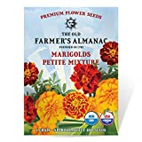 The Old Farmer's Almanac Premium Marigold Seeds (Petite Mixture) - Approx 200 Flower Seeds - Non-GMO, Premium, Open Pollinated