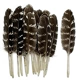 20pcs Small Natural Spotted Feathers 3-4' Wild Turkey Feather for Crafts Hats Accessories Jewelry DIY Wedding Party Decorations