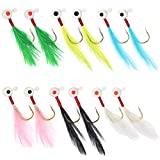 YZD 12 Piece Crappie jig Head Fishing Lure Hook with Feather Fly Fishing Panfish Sunfish Hair Jig Bait 1/16oz (6 Color Mix)