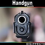 Five Rounds From .44 Magnum Handgun