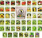 Set of 43 Assorted Vegetable & Herb Seed Packets - Over 3000 Seeds! - Includes Mylar Storage Bag - Deluxe Garden Heirloom Seeds - 100% Non-GMO