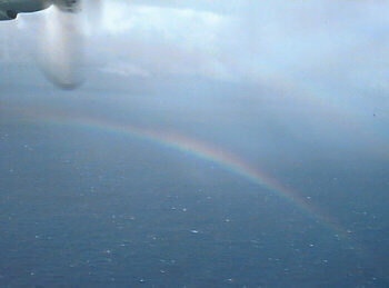 rainbow in the mist