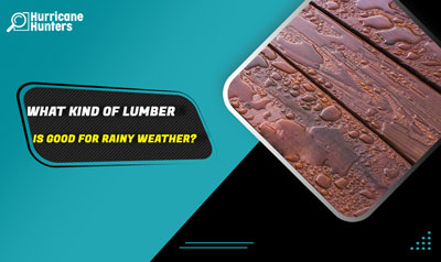What Kind Of Lumber Is Good For Rainy Weather?
